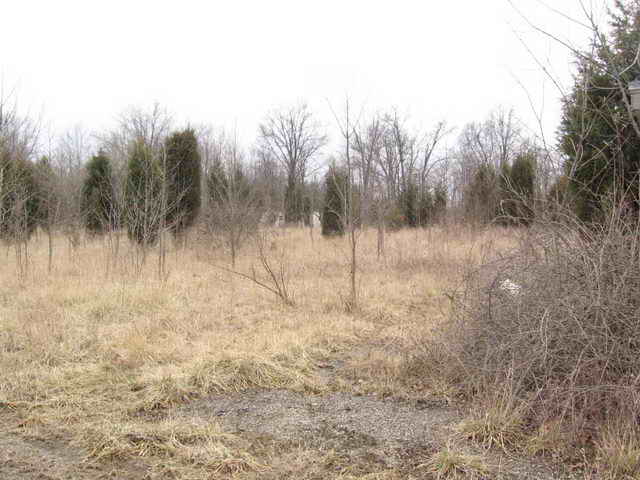 Lake Drive-In - 2006 Photo